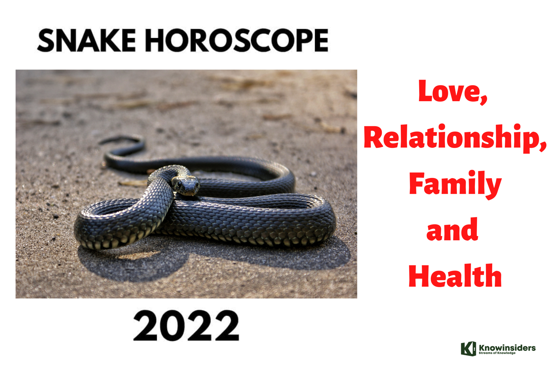 SNAKE Yearly Horoscope 2022 – Feng Shui Predictions for Love, Relationship, Family and Marriage