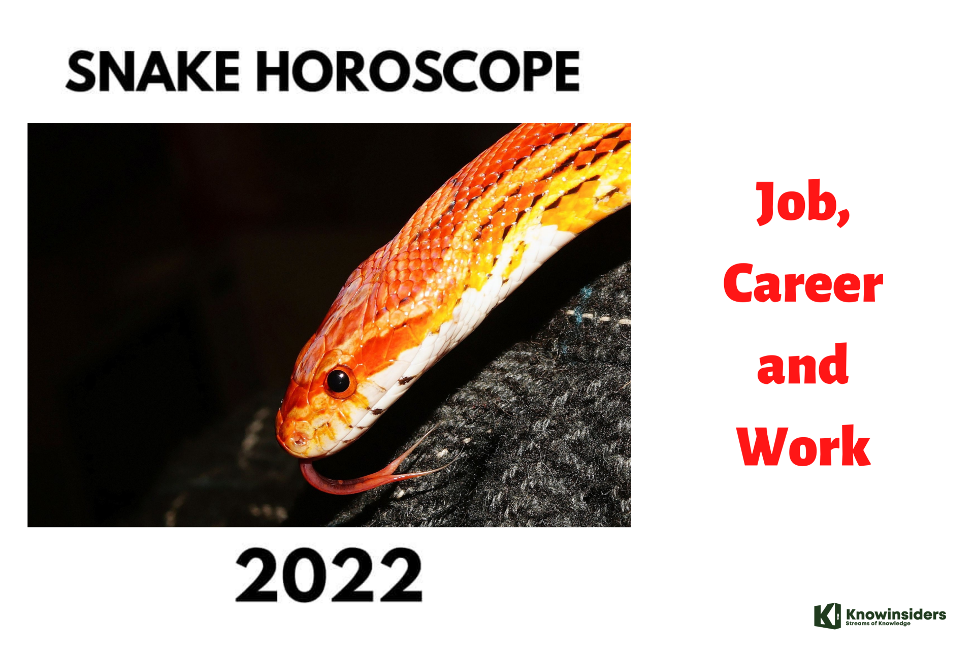SNAKE Yearly Horoscope 2022 – Feng Shui Predictions for Career, Job and Work