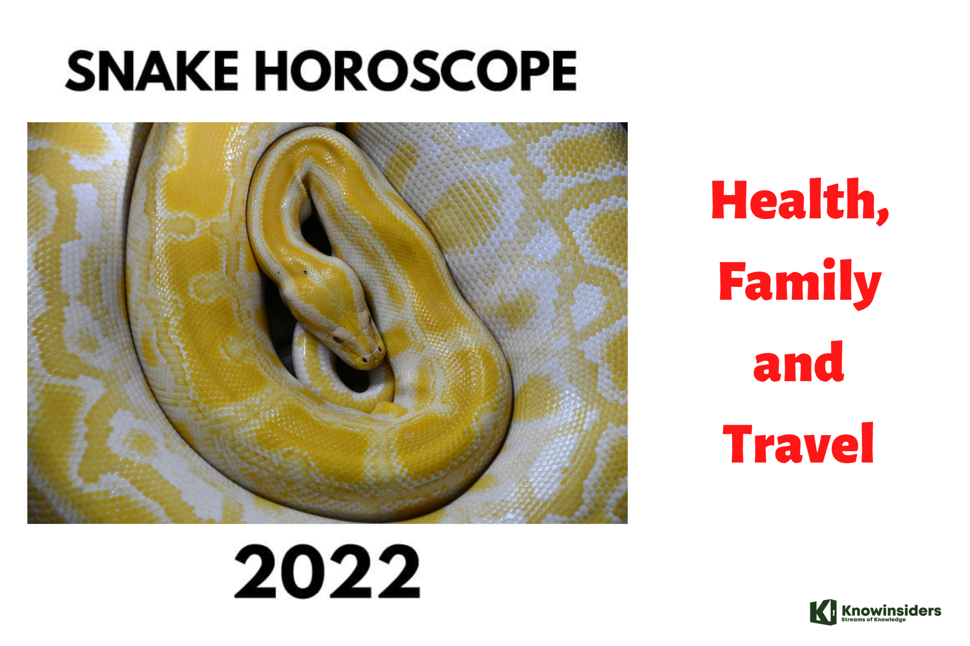 SNAKE Yearly Horoscope 2022 – Feng Shui Prediction for Health, Travel and Family