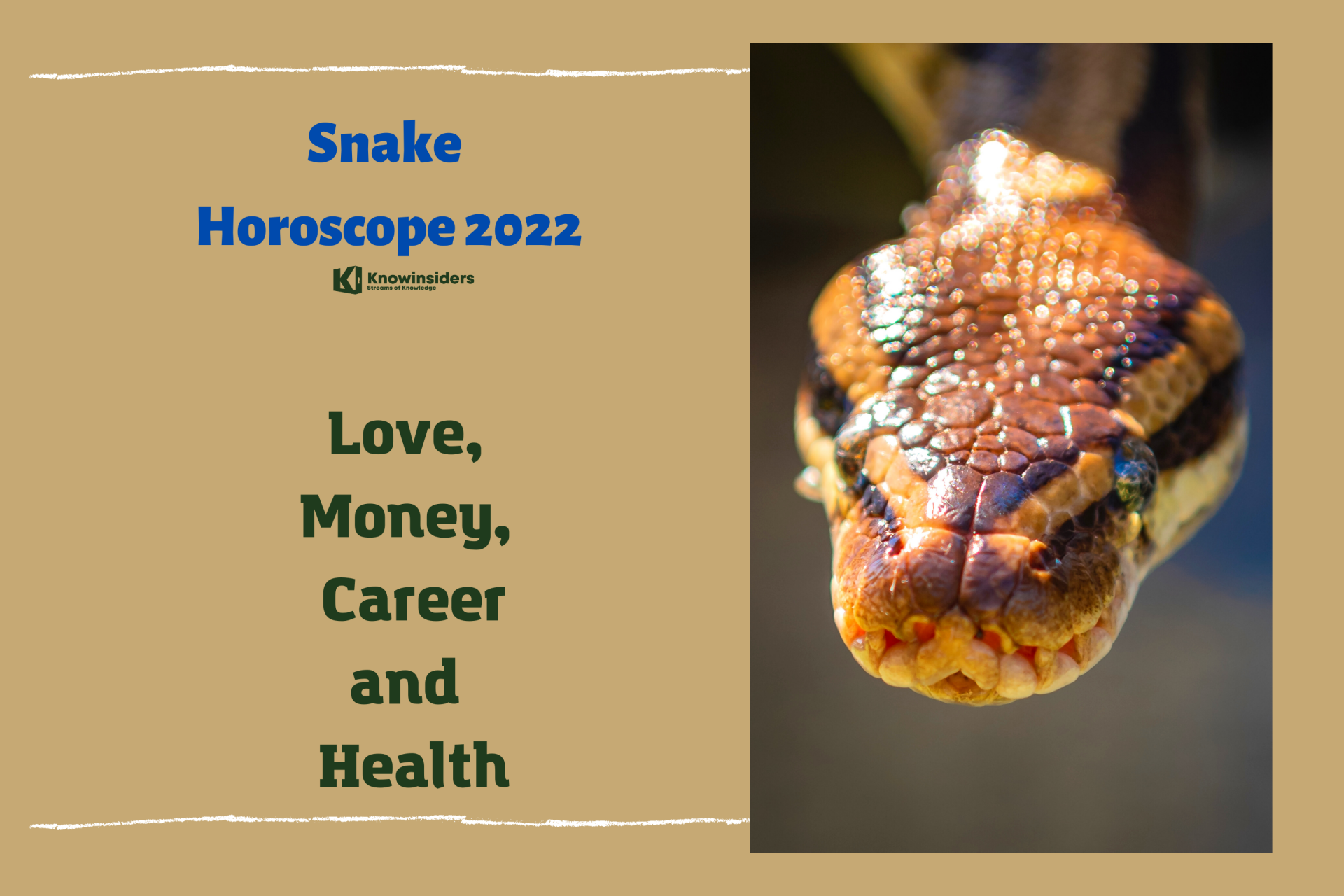 SNAKE Yearly Horoscope 2022 – Feng Shui Predictions for Love, Money, Career and Health
