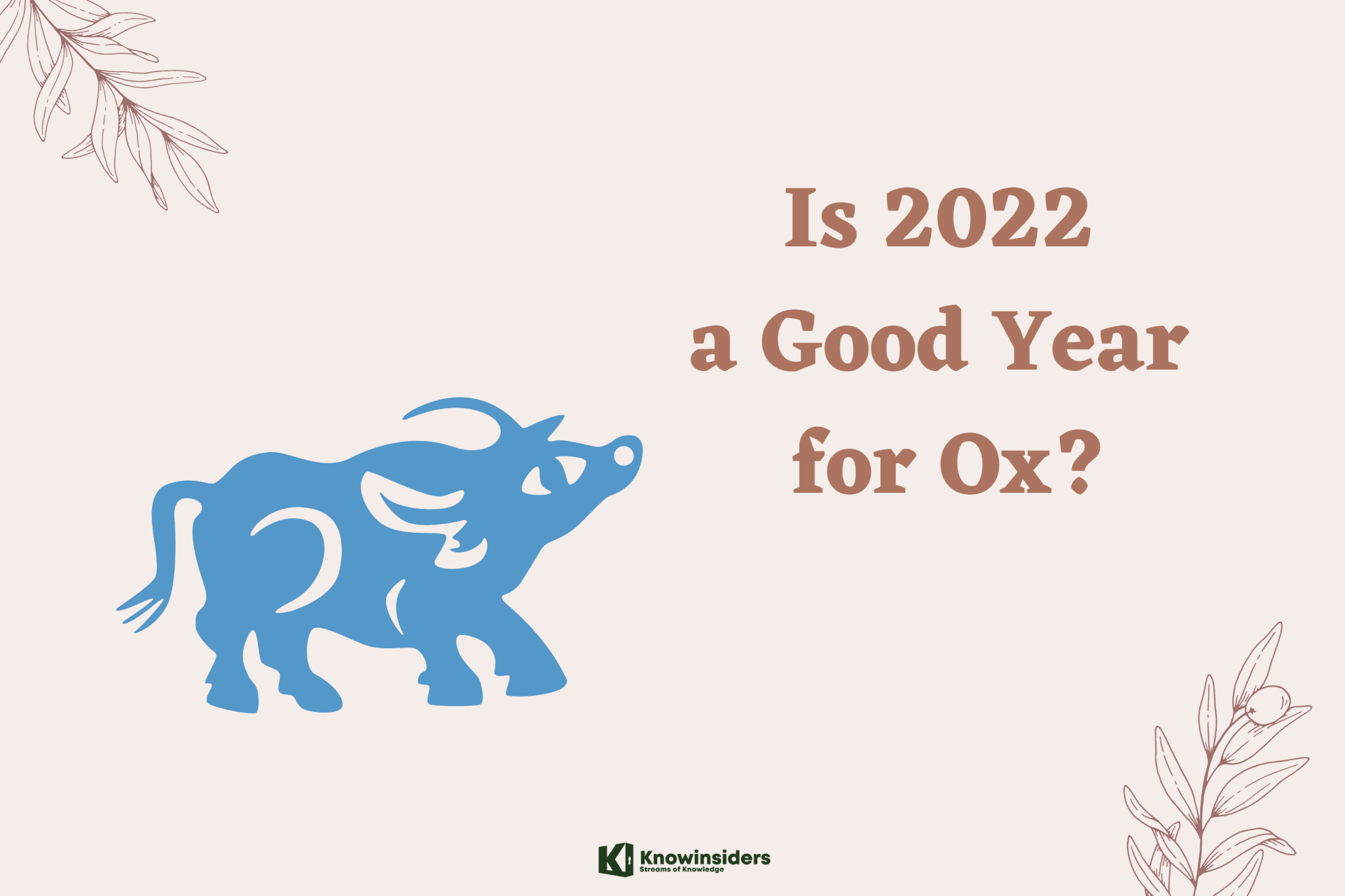 Is 2022 A Good Year for Ox?