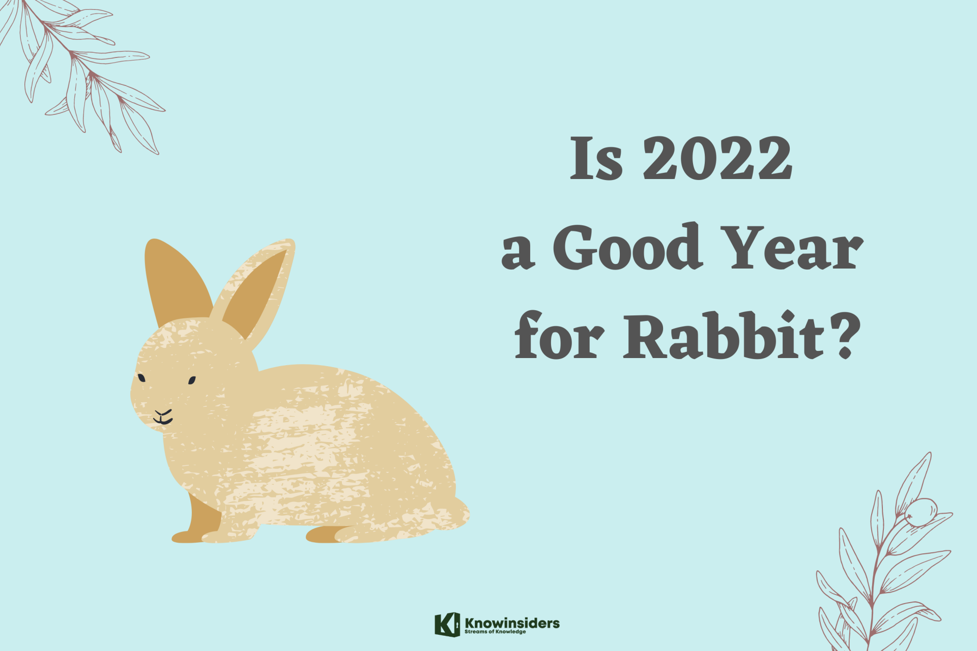 Is 2022 a Good Year for Rabbit?
