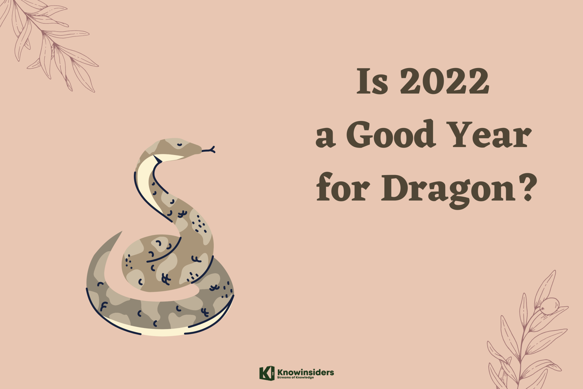 Is 2022 a Good Year for Snake?