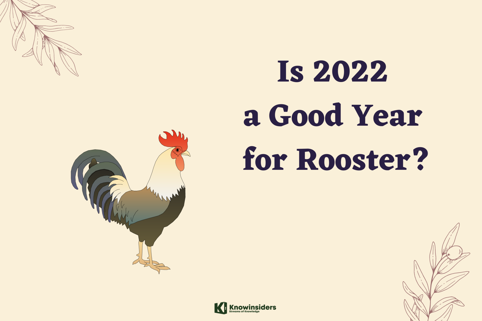 Is 2022 A Good Year for Rooster?