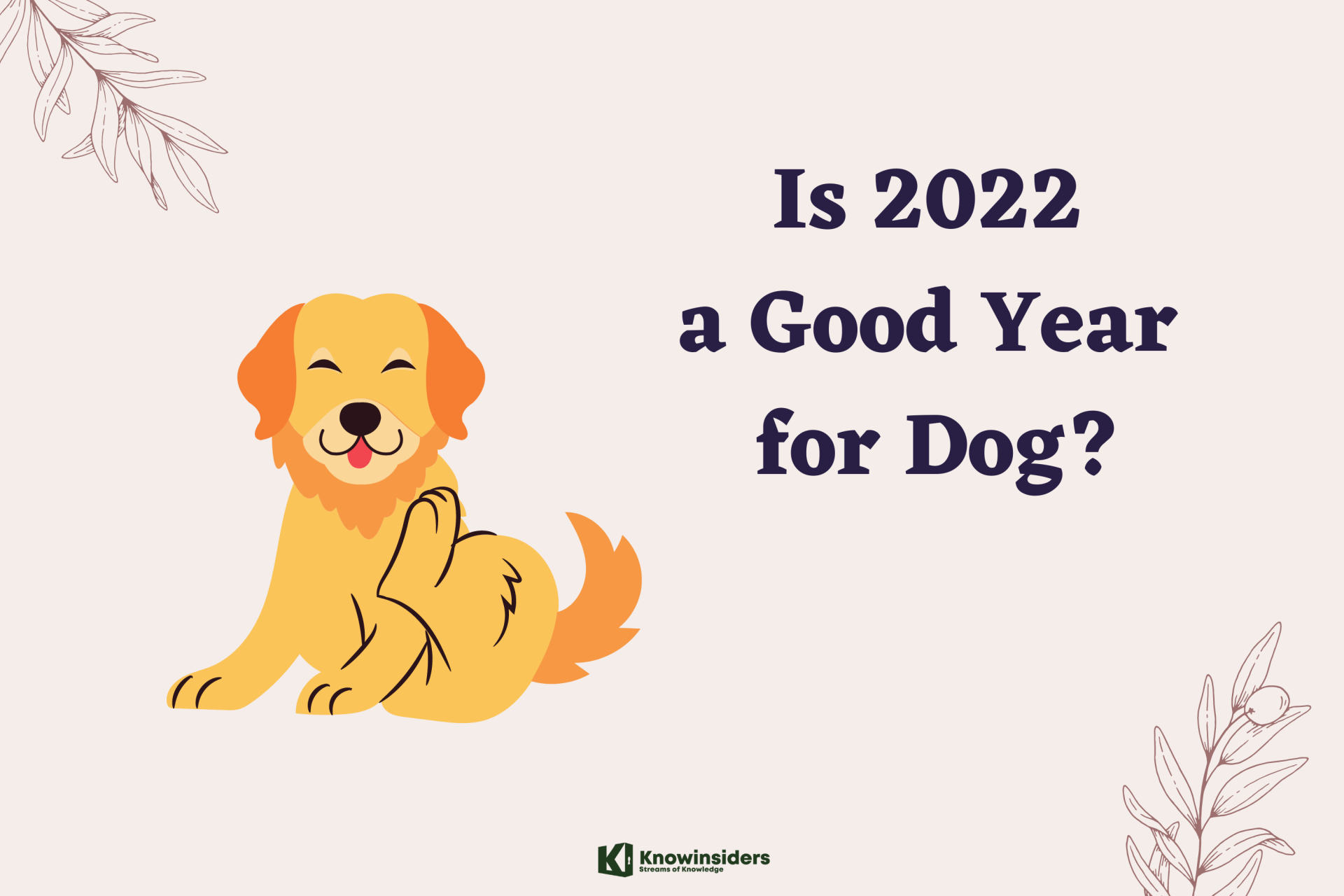Is 2022 A Good Year for Dog?