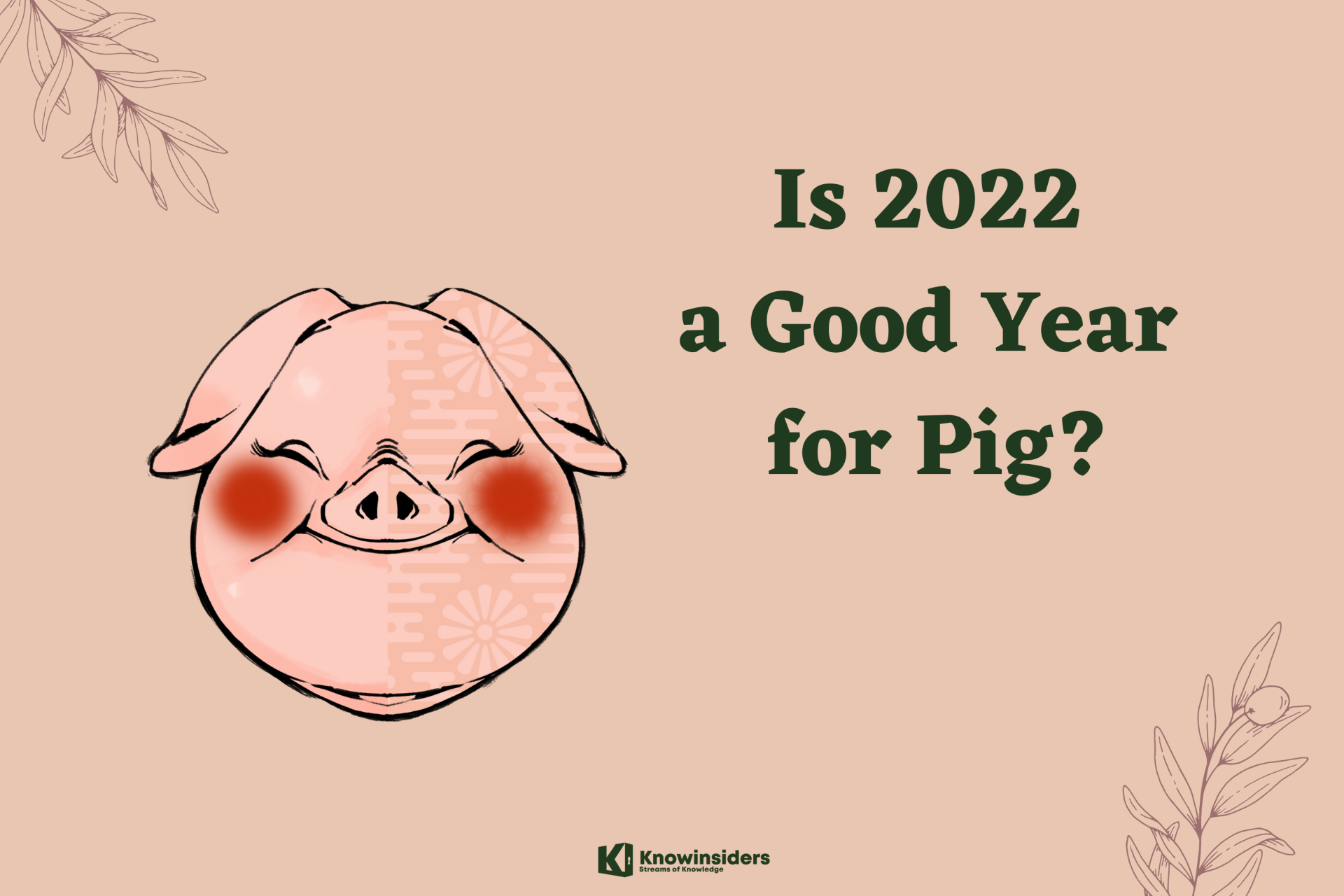 Is 2022 A Good Year for Pig?