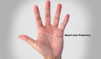 Palm Lines Reading - Indicators of Love, Marriage in Palmistry