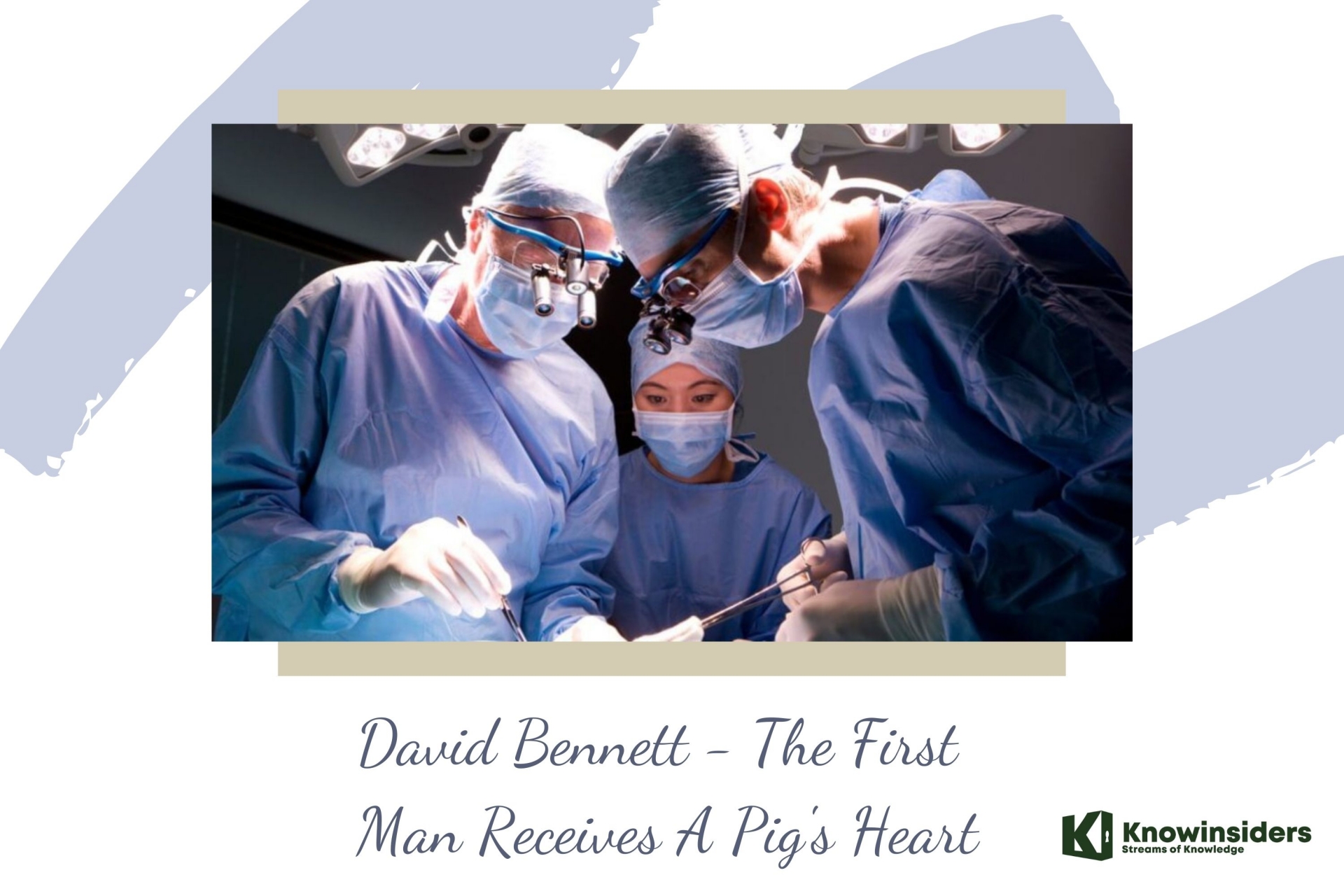 Who is 'Pig Heart' David Bennett: Biography, Career and Criminal Record