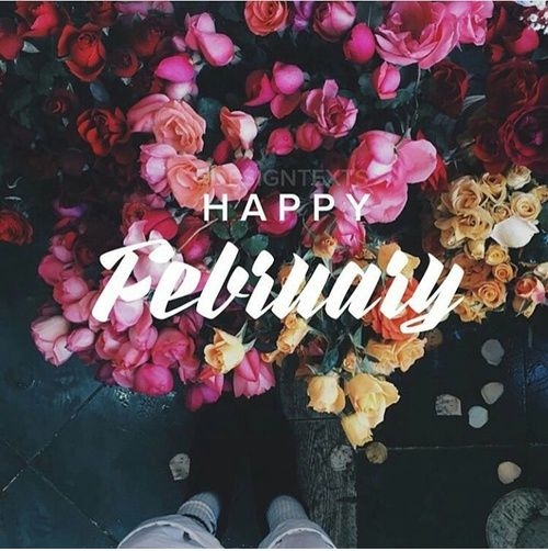 Happy February. Photo: Pinterest