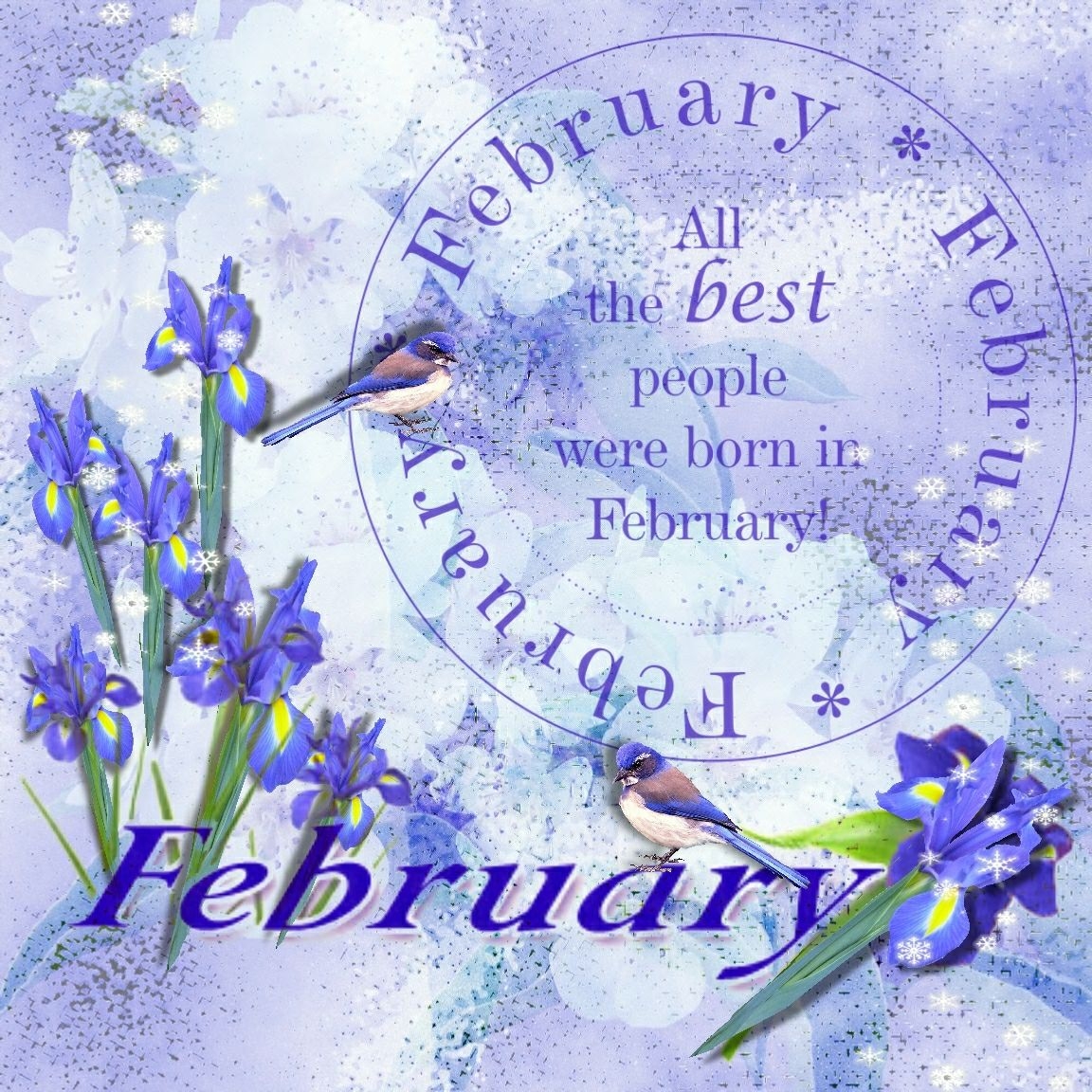 Happy February Wishes, Quotes, Messages
