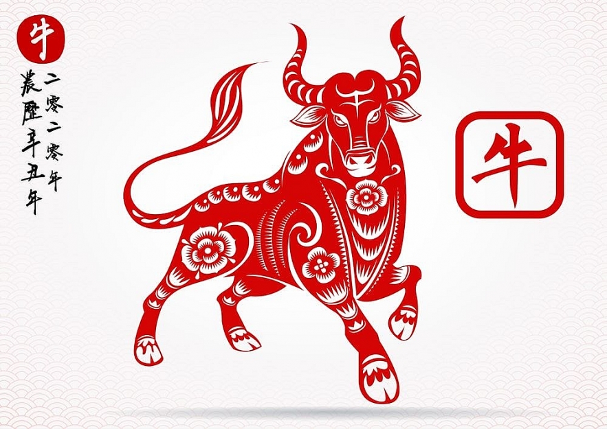 Ox Yearly Horoscope 2022 – Feng Shui Prediction for Love, Relationship and Marriage