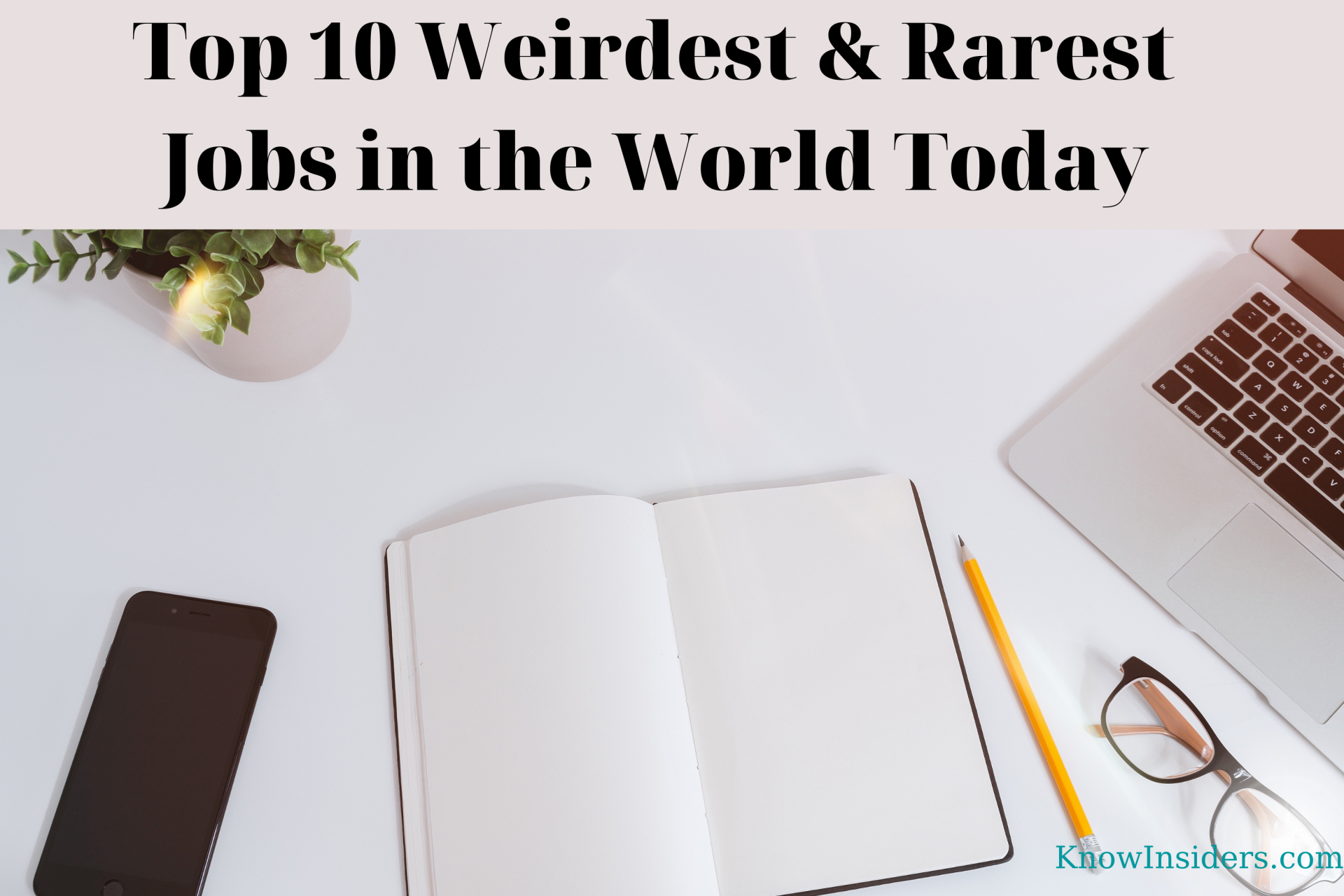 Top 10 Weirdest & Rarest Jobs In The World Today