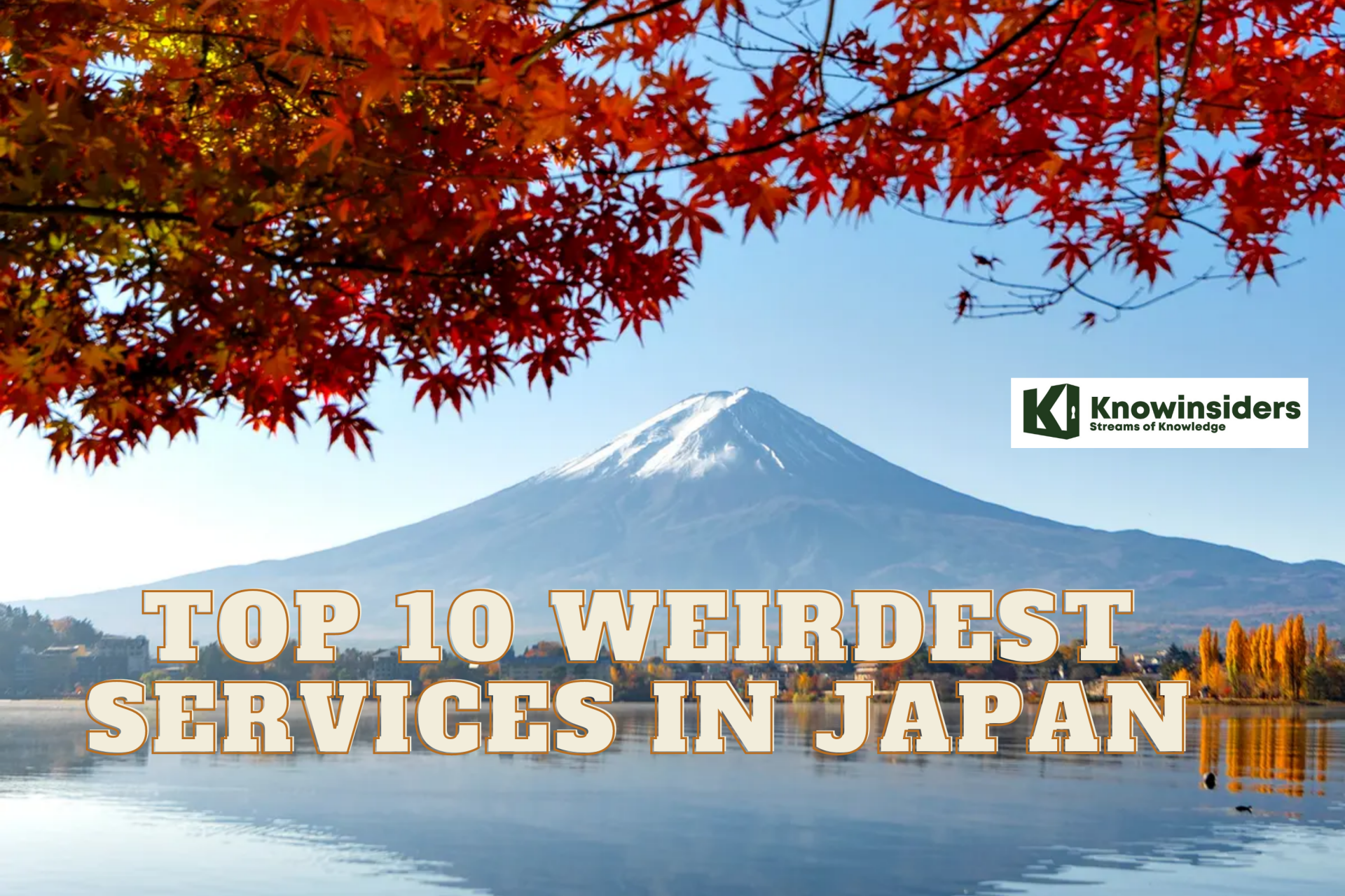 Top 10 Weirdest Services in Japan