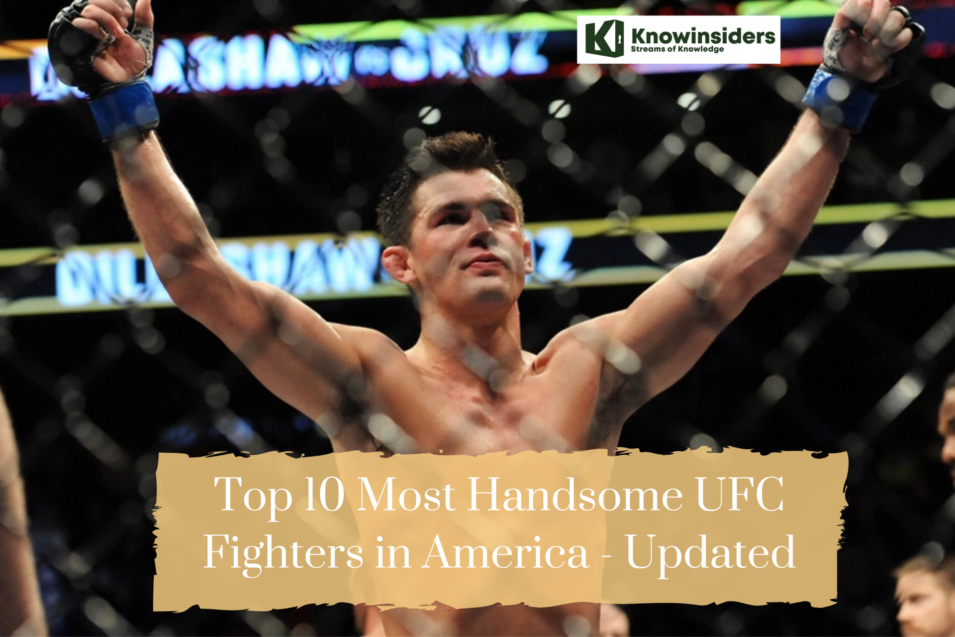 Top 10 Most Handsome UFC Fighters in America - Updated