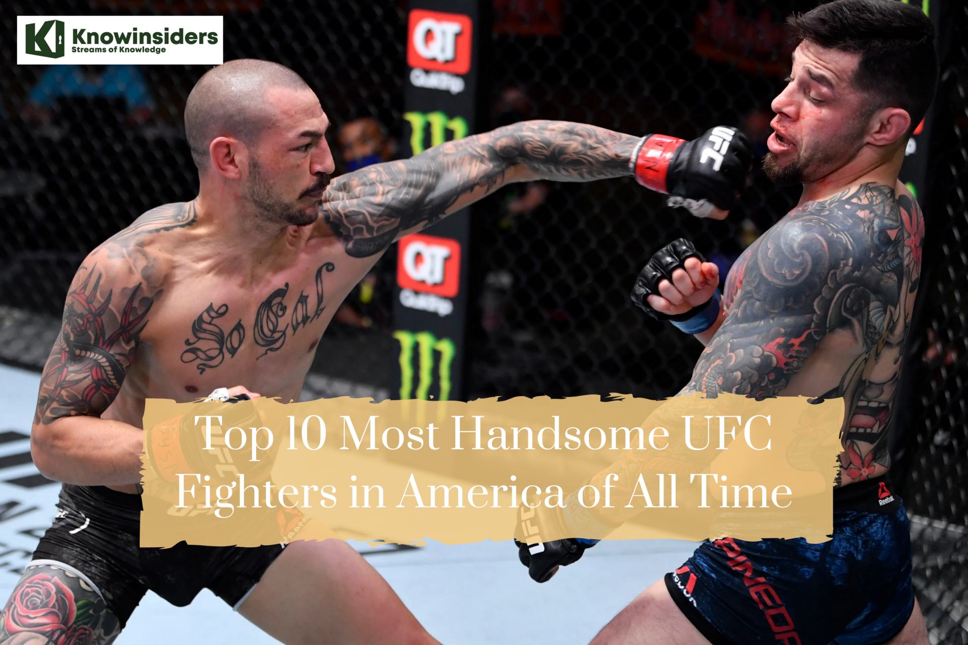 Top 10 Most Handsome UFC Fighters in America of All Time