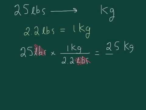 How To Convert Pounds To Kilograms | KnowInsiders