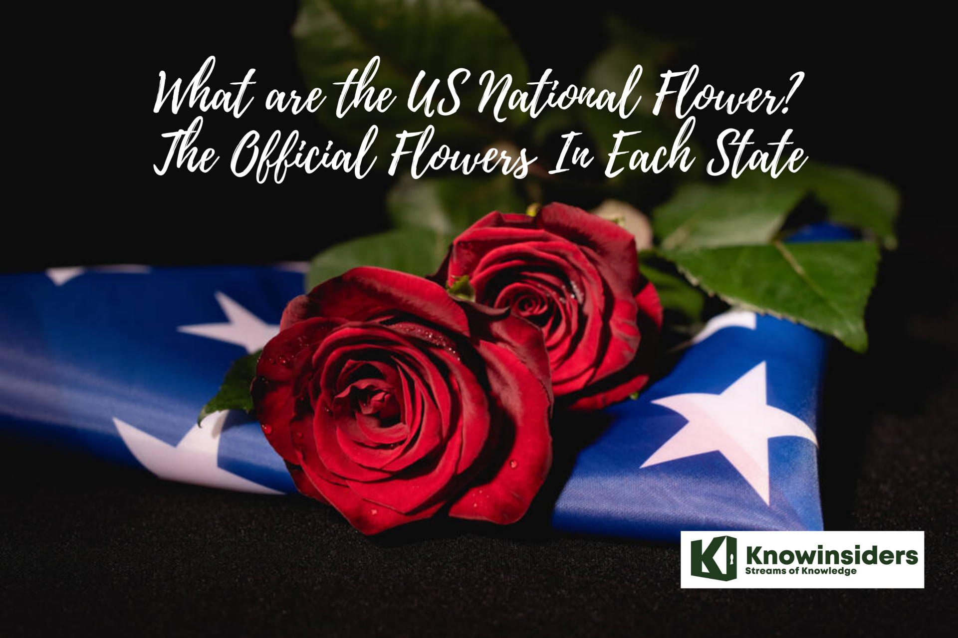What is the USA National Flower and The Official Flower In Each State