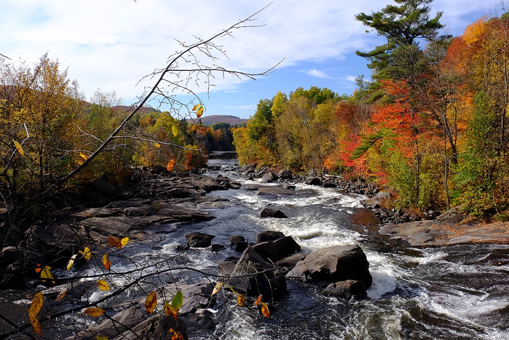 Top 10 Longest Rivers In Canada Interesting Facts KnowInsiders   5403 River Canada 2 