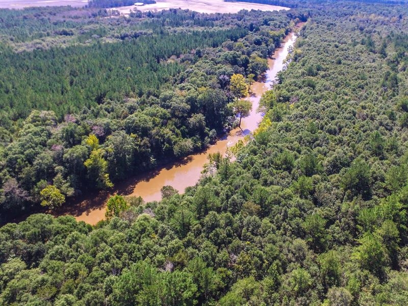 10 Longest And Most Beautiful Rivers In Florida | KnowInsiders