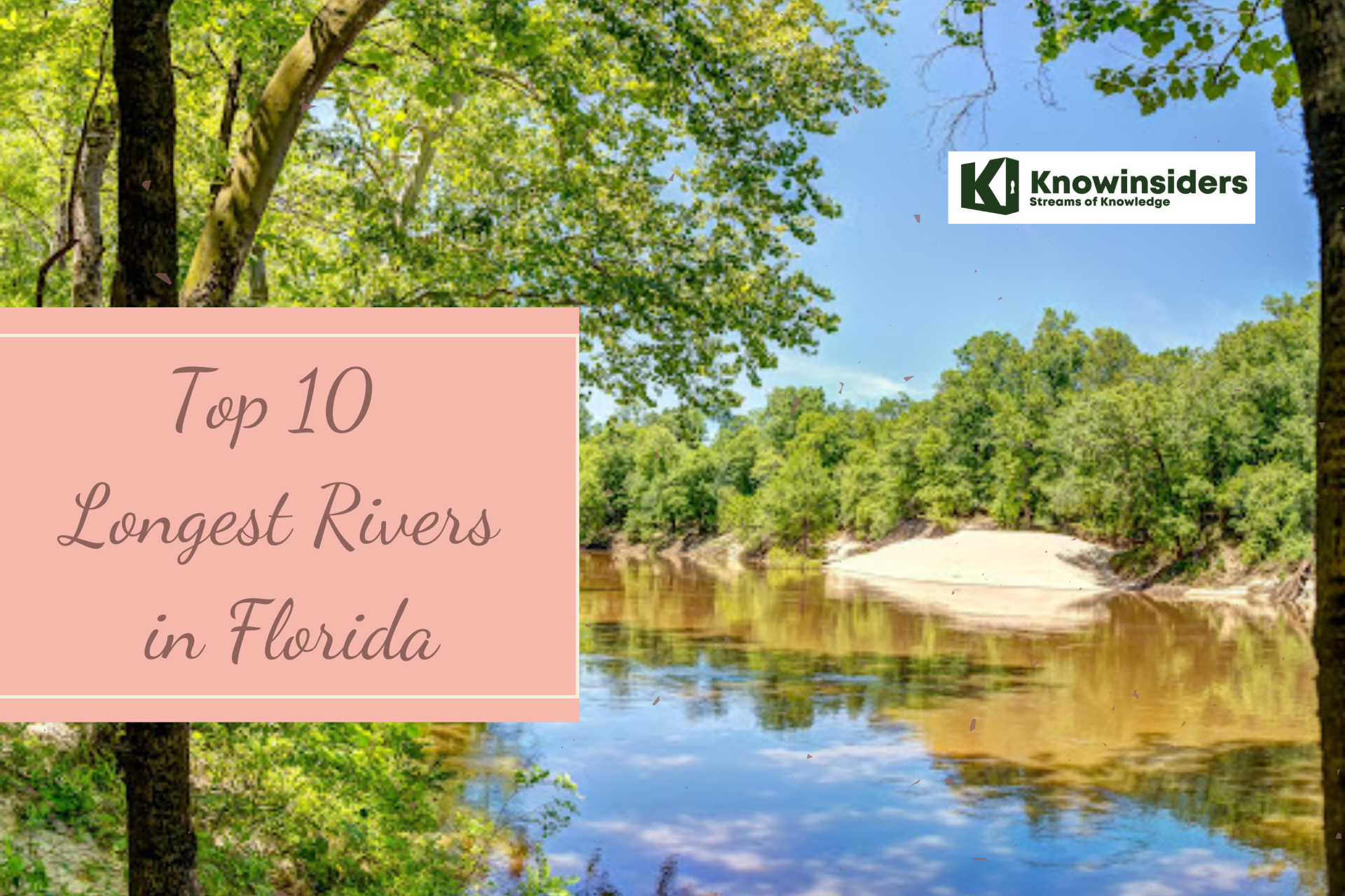 10 Longest And Most Beautiful Rivers In Florida | KnowInsiders