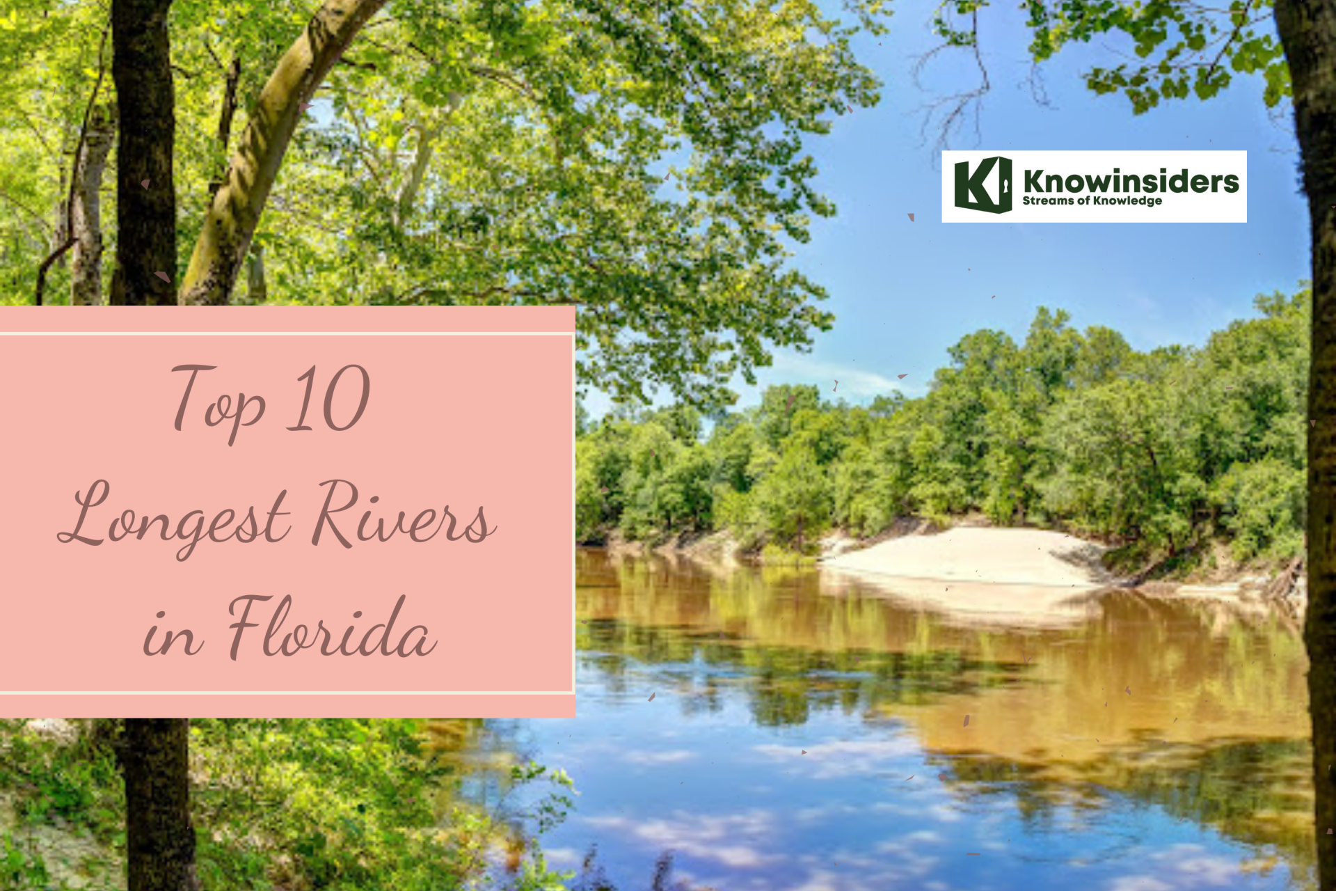 Top 10 Longest and Beautiful Rivers in Florida