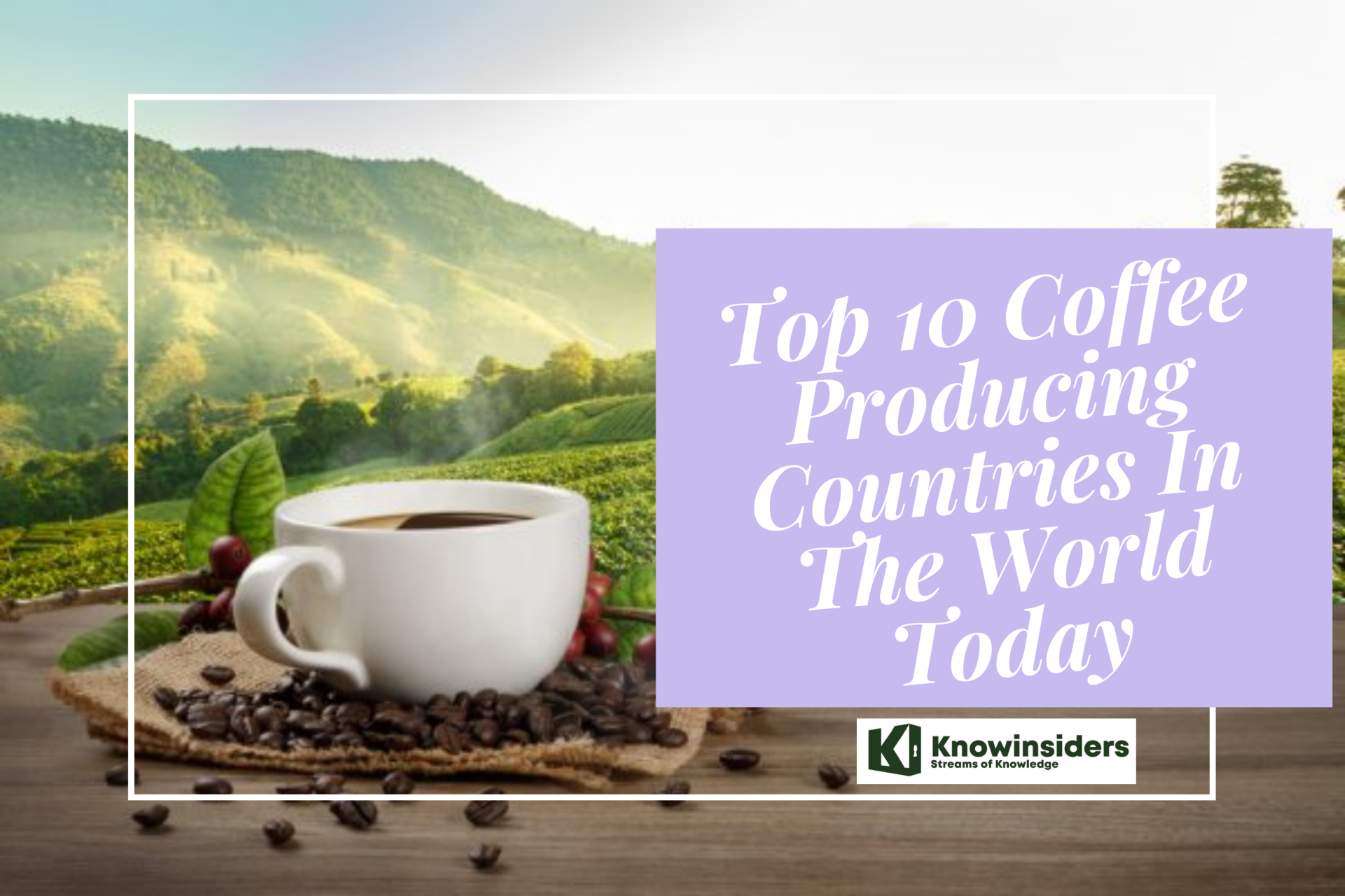 Coffee Producing Countries. Photo: KnowInsiders