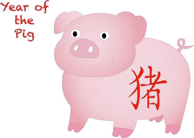Pig Yearly Horoscope 2022 – Feng Shui Prediction for Money & Finance