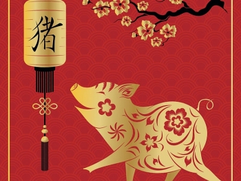 Year of Pig: Personality Traits, Horoscope, All-Life Forecast - Chinese Zodiac