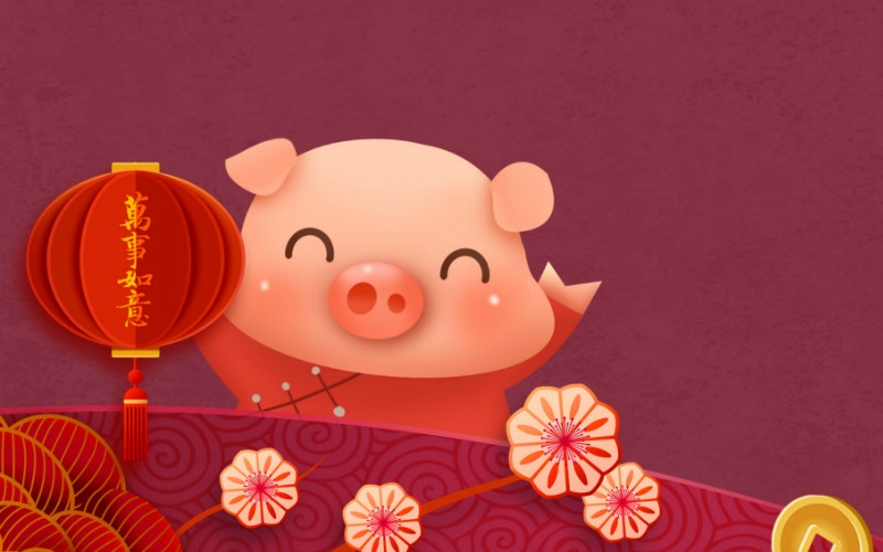 Year of Pig. Photo: China Highlights