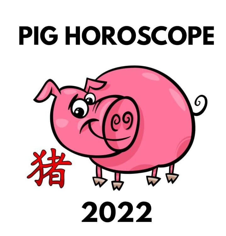 The year of Pig. Photo: Chinese Zodiac Secrets