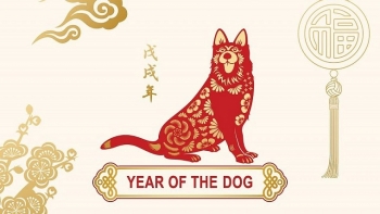 Year of Dog: Personality Traits, Horoscope, Forecast - Chinese Zodiac