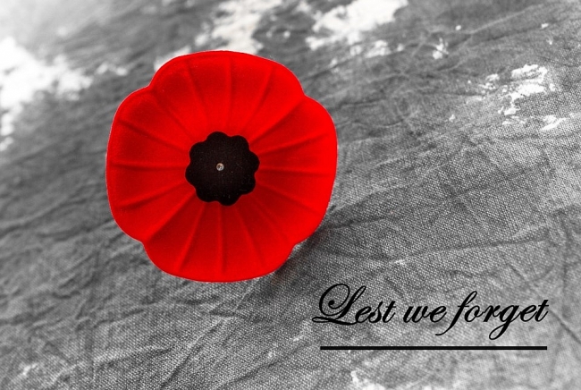 Remembrance Day: The Origin and Celebrations around the world