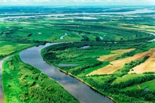 Top 7 Longest River in the World