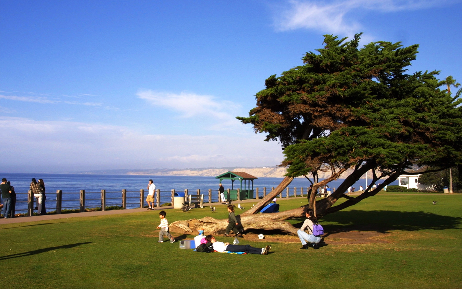 Top 7 Perfect Picnic Spots in the US KnowInsiders