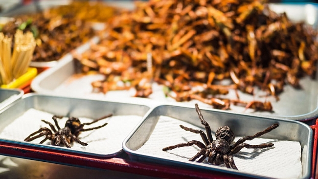 World's Weirdest Dishes: Fried Tarantula from Cambodia