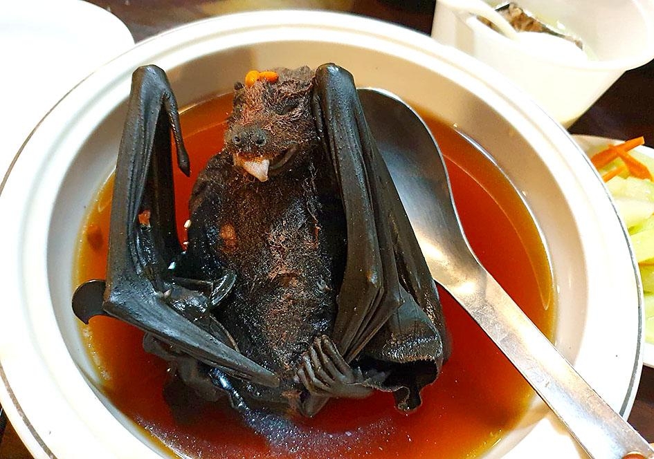Top 10 Weirdest Dishes in China