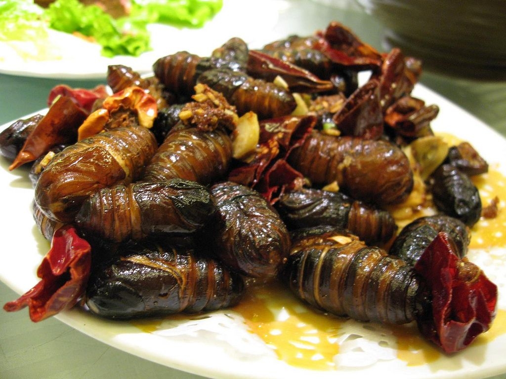 Top 10 Weirdest Dishes in China