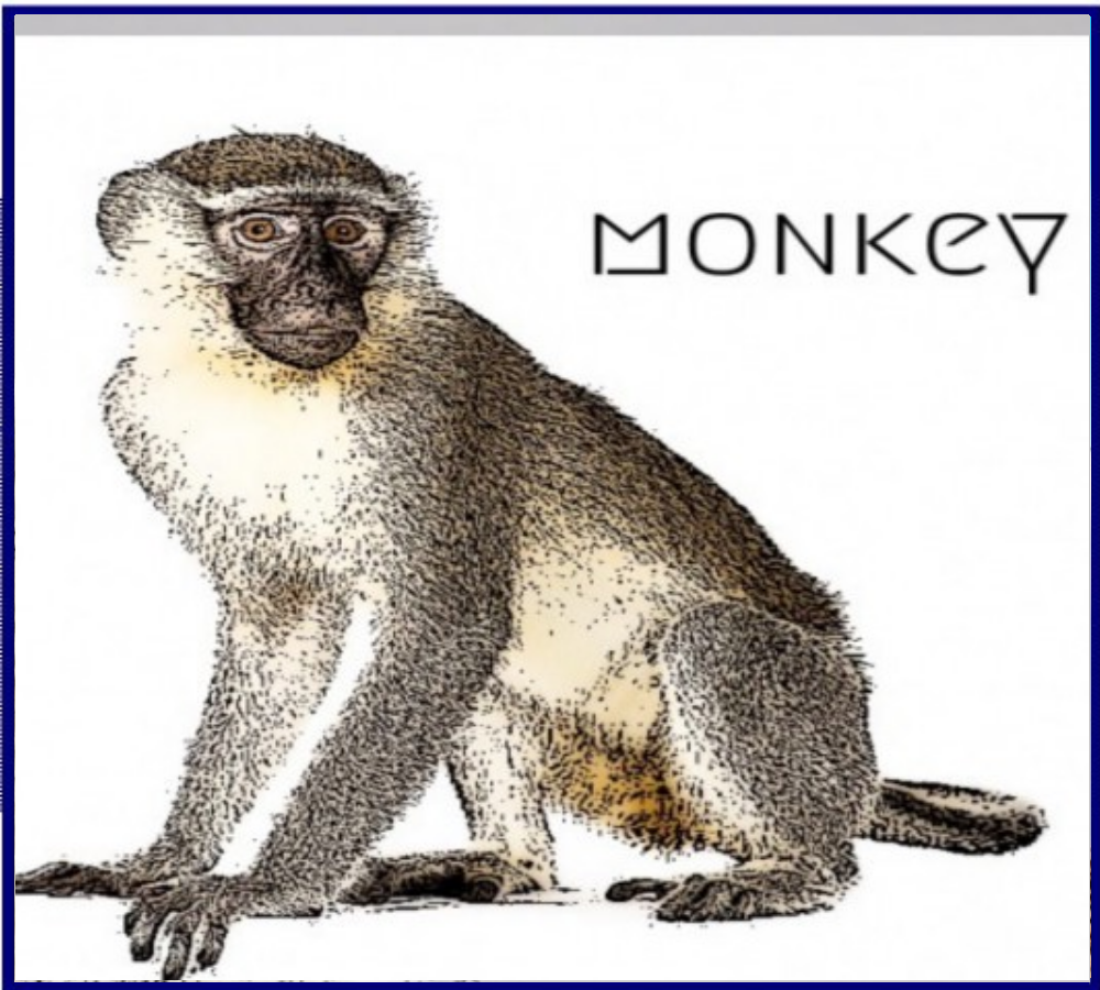 5645 year of monkey 2