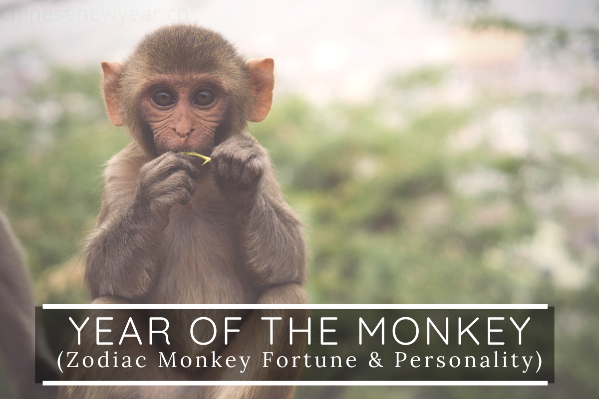 Year Of The Monkey Prediction 2024 Nonie Bathsheba   5648 Year Of Monkey 1 