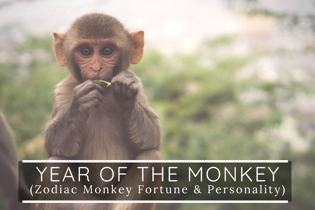 2021 Horoscope Predictions for Those Born in the Year of Monkey