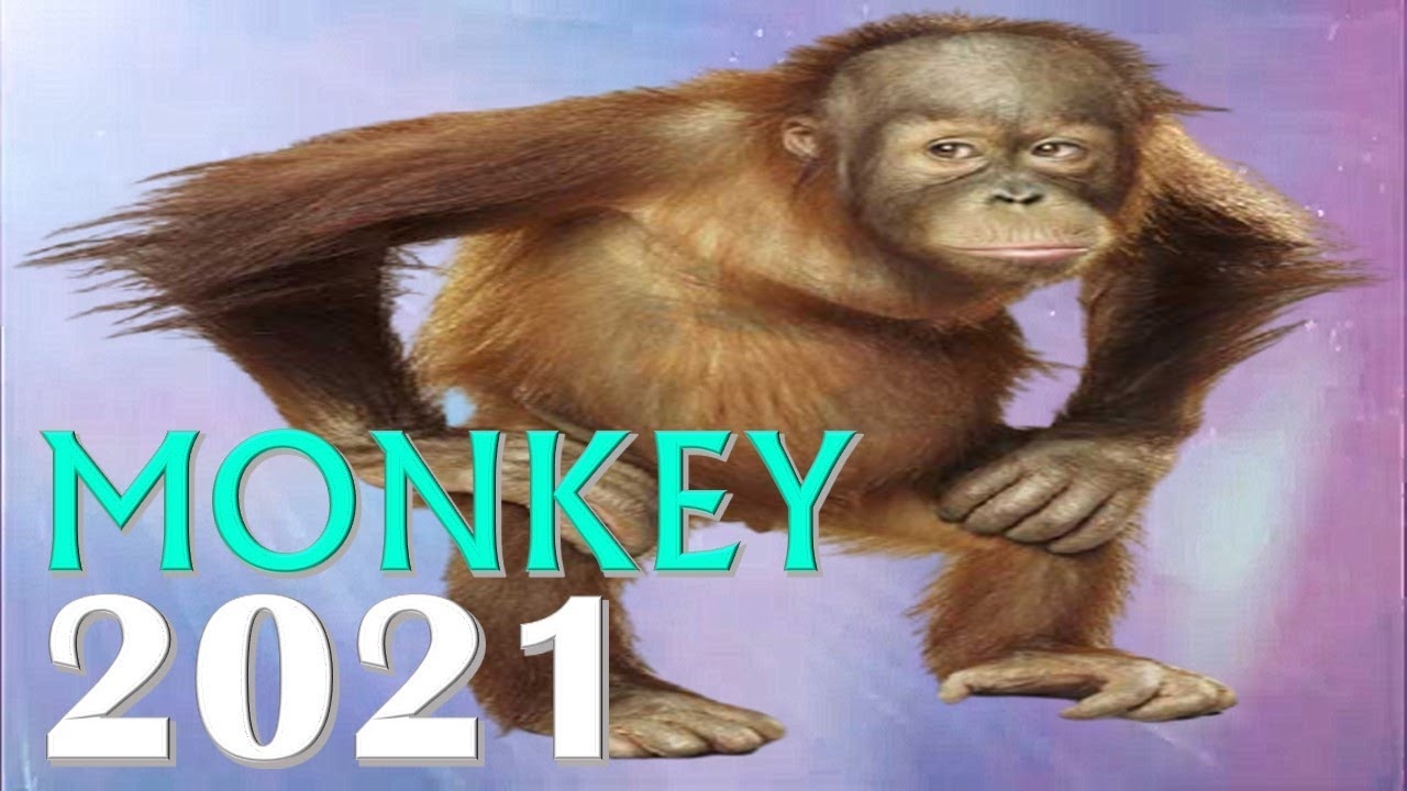 3059 monkey horoscope 2021