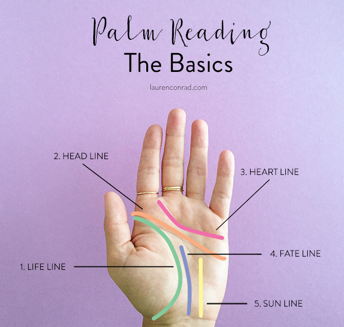 What is Palm Lines & How to Read Palm Lines Correctly - Guidelines for Beginners!