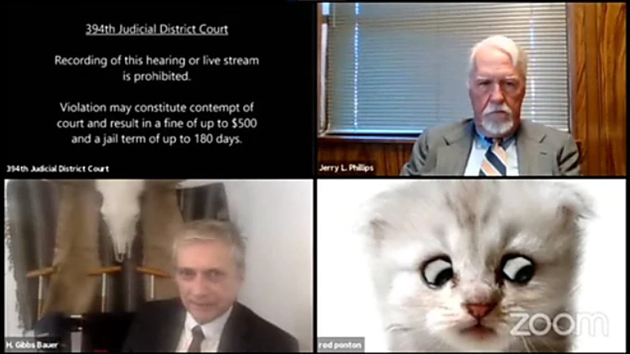The attorney appears in a court with cat filter cover his face. 
