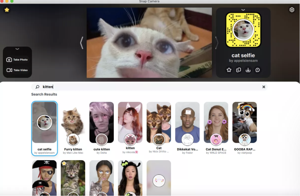 Choose from all kids of different kitten filters on Snap Camera.  Screenshot by Alison DeNisco Rayome/CNET.
