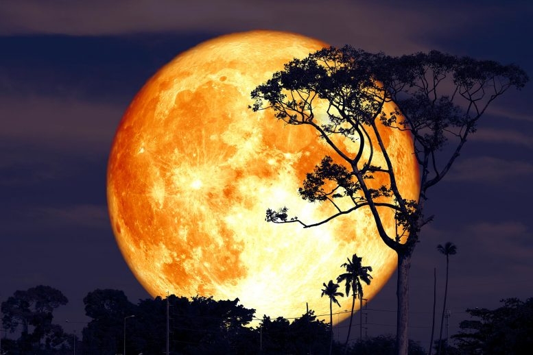 Calendar for Full Moon 2021: Names, Dates and Time ...