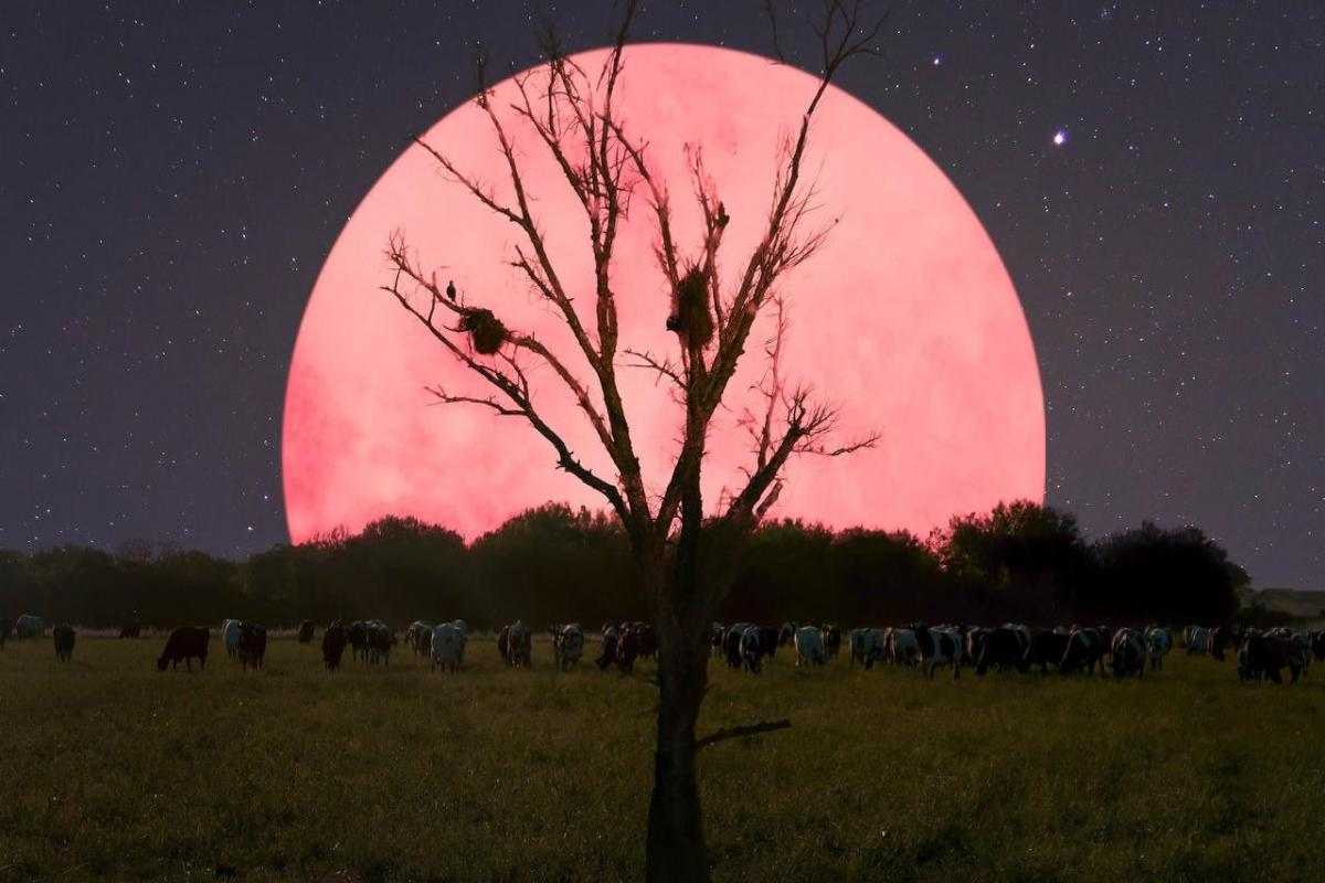 Calendar for Full Moon 2021: Names, Dates and Time