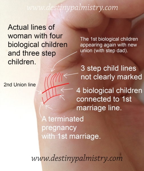 Palm Line Reading - How to Predict your Children's Future