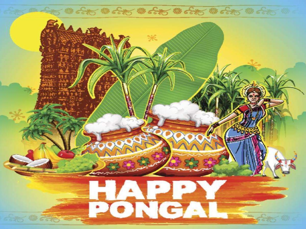 Pongal Day 2021: Meaning, history, Date and time, how to celebrate?