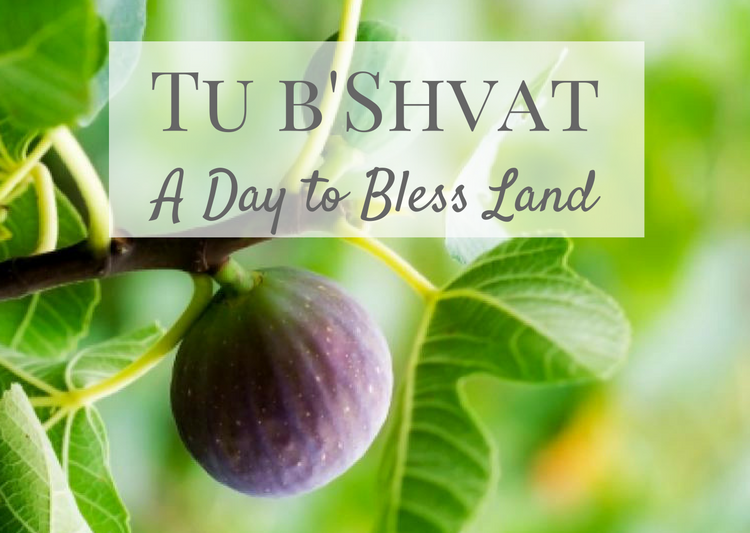 Tu Bishvat Day: What And When Is It Celebrated, How People Celebrate ...