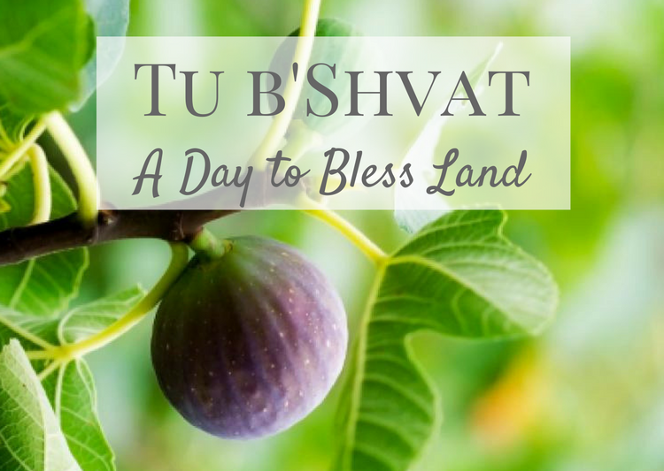 Different ways to celebrate Tu Bishvat